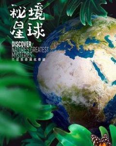 救援白虎